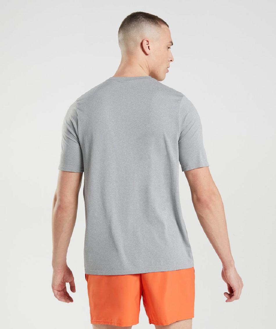 T Shirts Gymshark Arrival Seamless Hombre Gris | CO 3390BEX